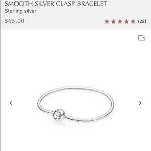 Pandora charm bracelet